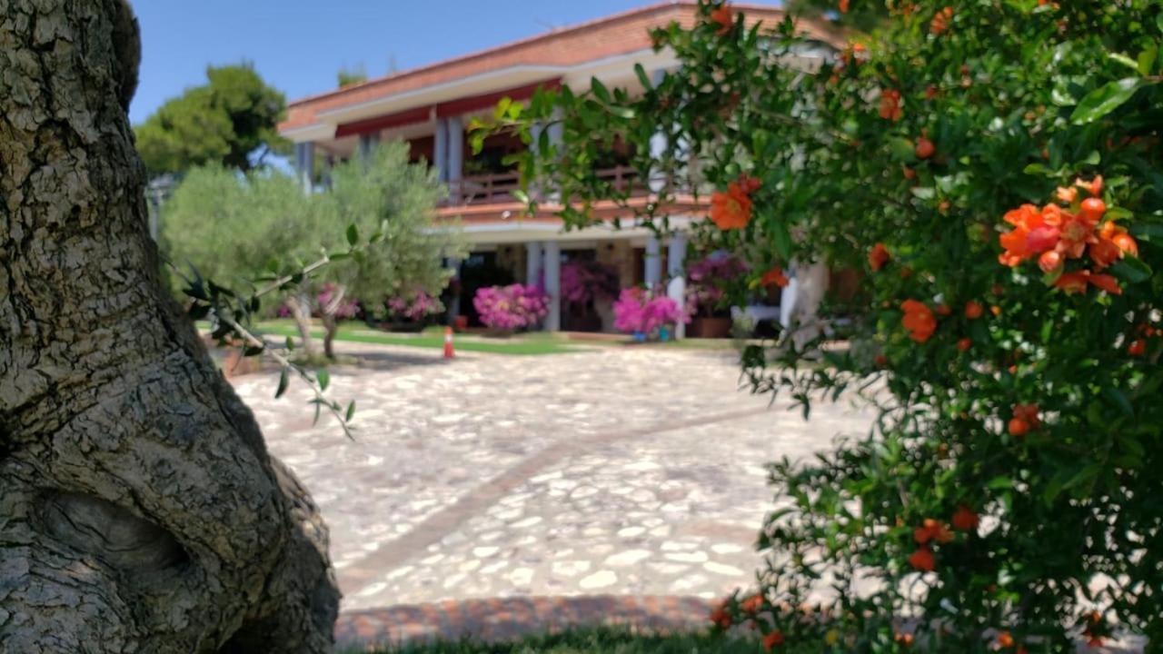 Hotel Brifs Shengjin Luaran gambar